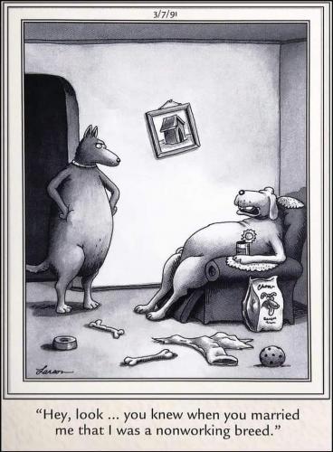 03:49:29 GMT-0600 (CST)