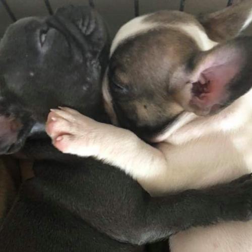 12:29:18 GMT-0600 (CST)