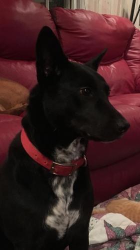 10:06:06 GMT-0600 (CST).image