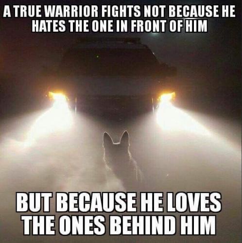 12:05:09 GMT-0600 (CST).image