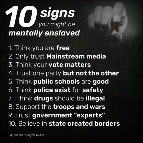 132075712_2451359155171284_5112637673185906143_o