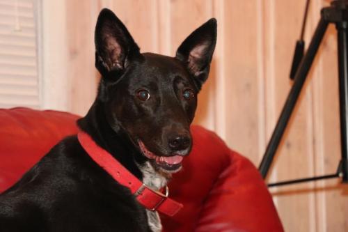 10:06:06 GMT-0600 (CST).image