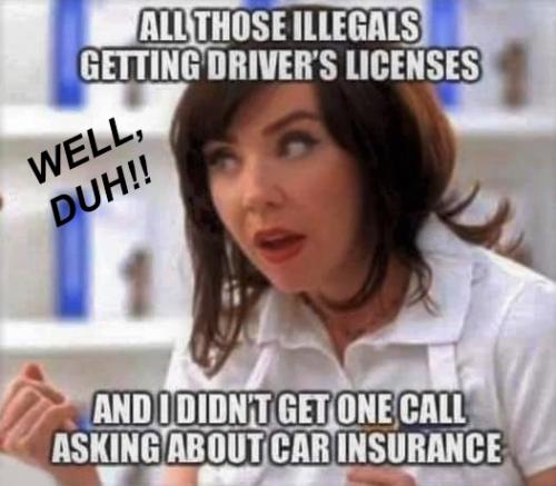 Well, duh! - Illegals' drivers licenses and no insurance - meme