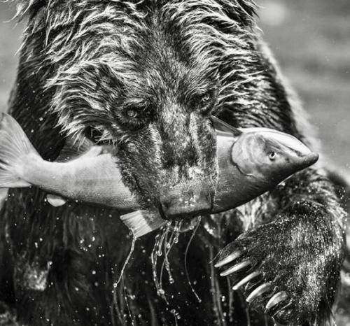 20:34:16 GMT-0900 (AKST).image