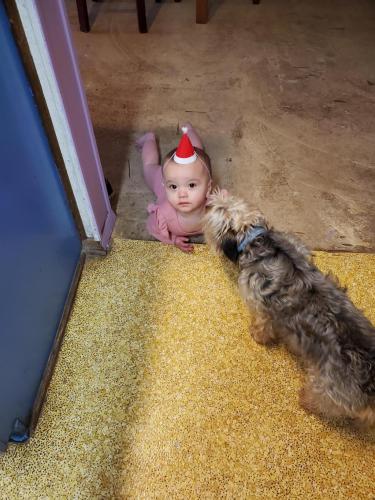 12:35:30 GMT-0600 (CST)