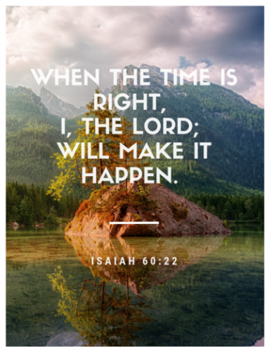 454527ef87d9a426aa2e071ca28225a8