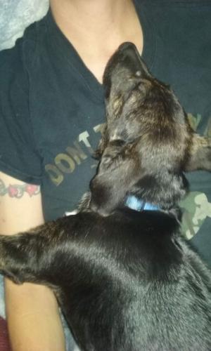 19:03:03 GMT-0600 (CST)