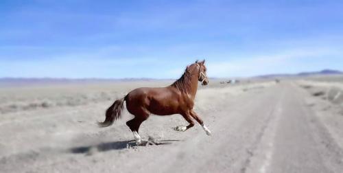 19:48:02 GMT-0800 (PST).image