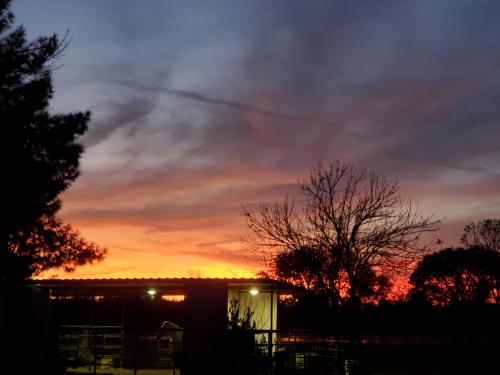 14:36:19 GMT-0700 (MST)