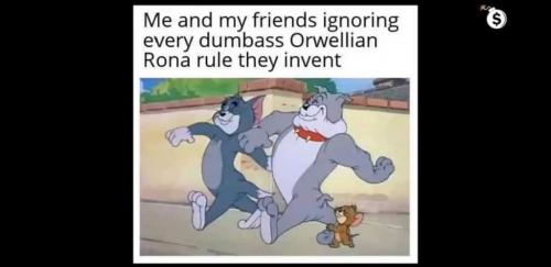 11:33:30 GMT-0500 (EST)