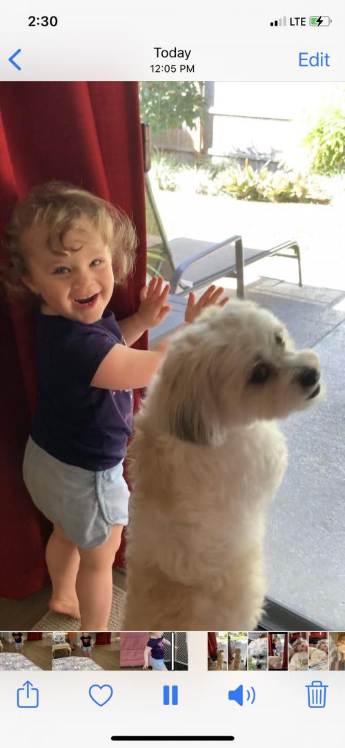 14:20:43 GMT-0500 (EST).image