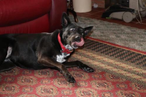 10:01:40 GMT-0600 (CST).image