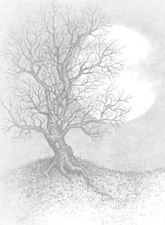 bcc3bd79c396e82a2cee1e4255ab1322--tree-drawings-full-moon