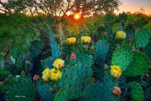 01:09:47 GMT-0500 (EST)