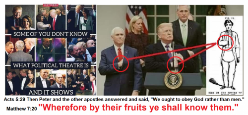 138354722_422146885871177_4553821060715782541_n