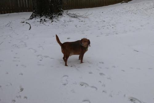 19:21:34 GMT-0600 (CST).image