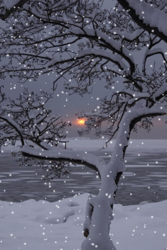 22:16:34 GMT-0600 (CST)