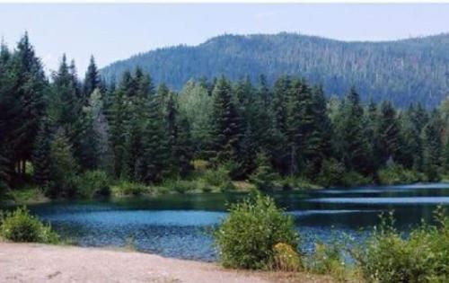 08:56:23 GMT-0600 (CST)