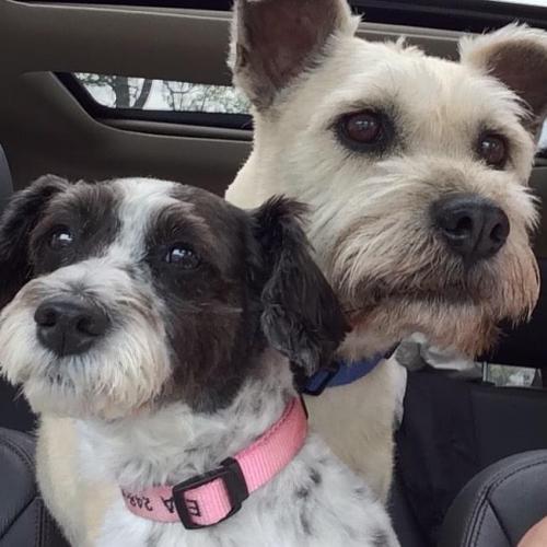 13:29:47 GMT+0100 (WAT).image