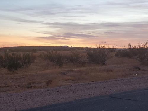 135083348_665811430782331_2055364971015188916_o