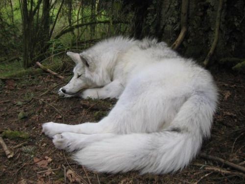 18:46:49 GMT-0600 (CST)