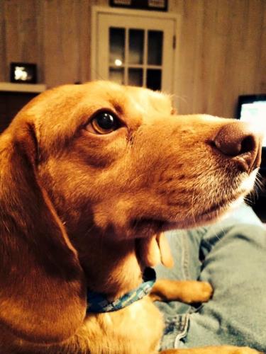 13:33:42 GMT-0600 (CST).image