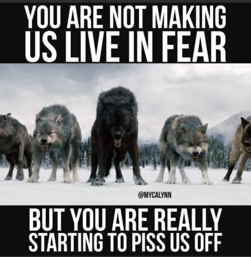 13:34:43 GMT-0600 (CST)