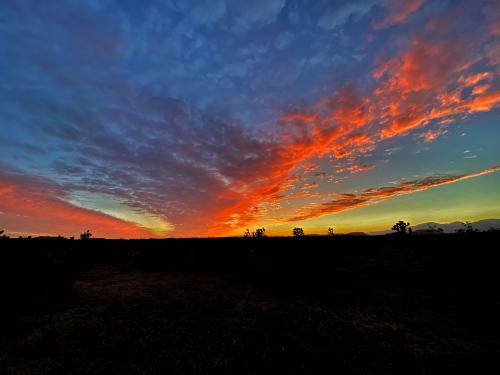 04:00:50 GMT-0800 (PST).image