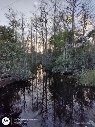 08:54:09 GMT-0500 (EST)