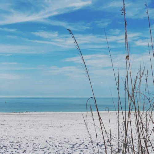 17:33:44 GMT-0600 (CST)