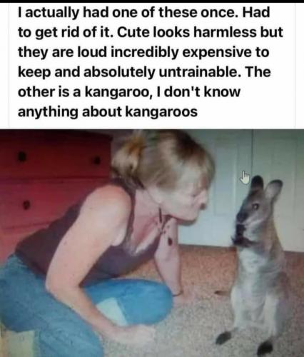 17:51:00 GMT-0500 (EST)