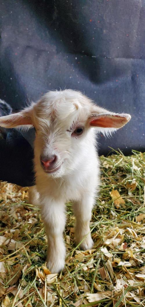 14:35:01 GMT-0600 (CST)