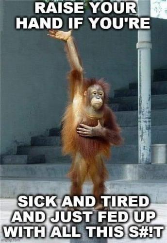 10:05:23 GMT-0500 (EST).image