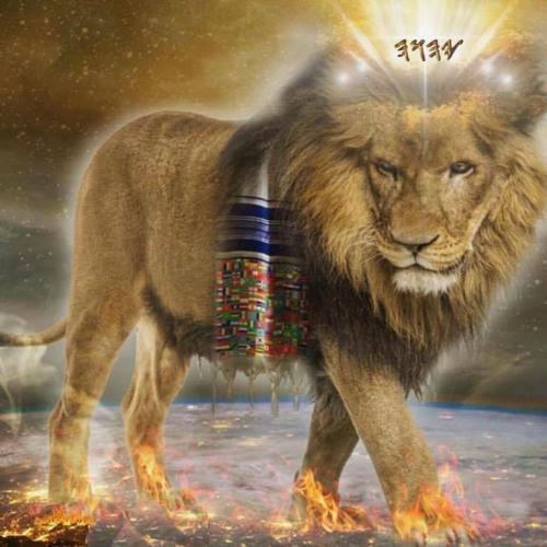 lionofJudah