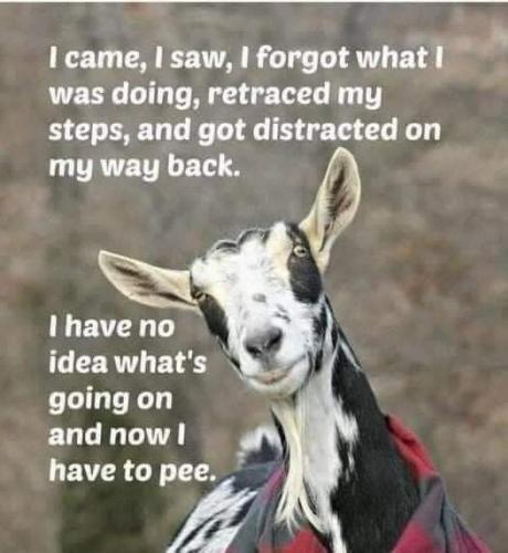 08:41:58 GMT-0500 (EST)