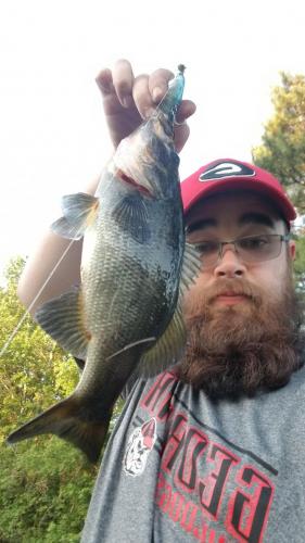 12:18:01 GMT-0500 (EST)