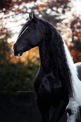 18:13:44 GMT-0600 (CST)