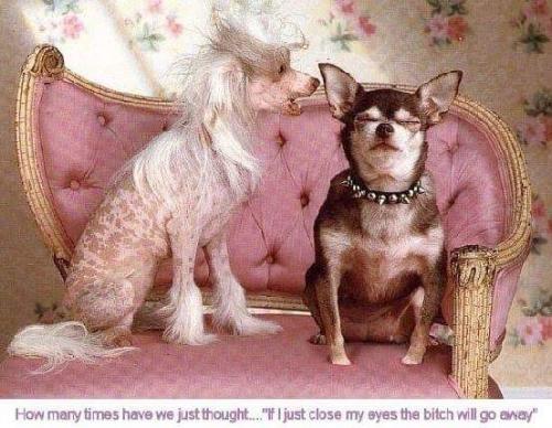 13:07:33 GMT-0500 (EST)