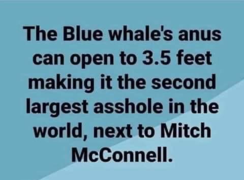 22:52:36 GMT-0500 (EST).image