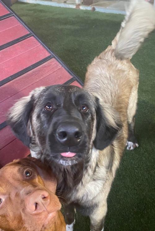 22:41:23 GMT+0100 (WAT)