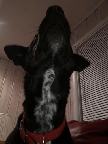 10:13:29 GMT-0600 (CST).image