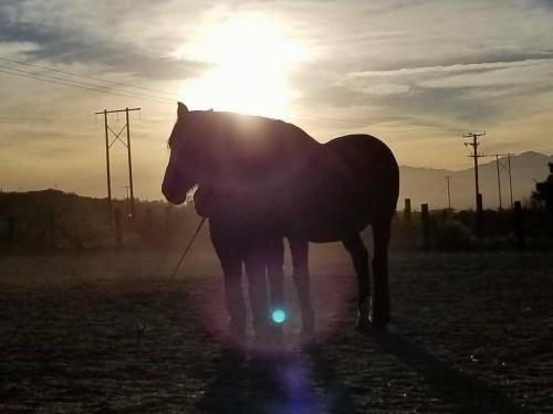 19:48:02 GMT-0800 (PST).image