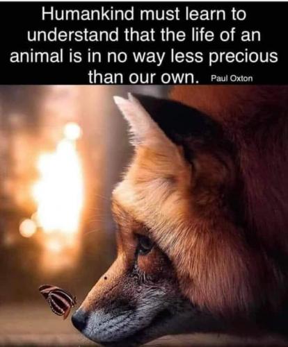 21:13:59 GMT-0600 (CST)