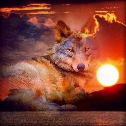 136338689_1206513696417924_5508494094612121371_n