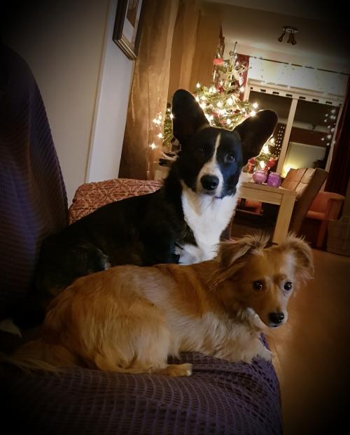 08:30:07 GMT+0100 (CET)