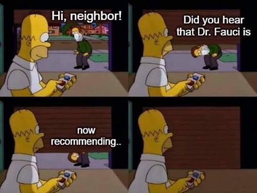 143649775_2975245602693335_4890396190824908378_n