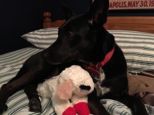 10:14:47 GMT-0600 (CST).image