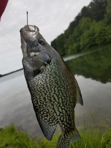 13:20:02 GMT-0500 (EST)