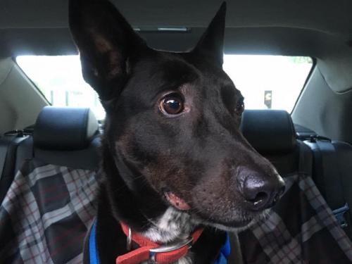 10:00:28 GMT-0600 (CST).image