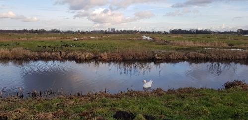 08:40:56 GMT+0100 (CET)